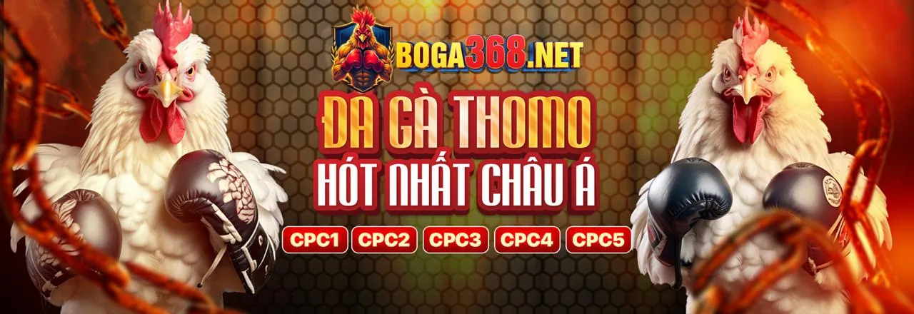 Đá gà trực tuyến vvvvwin nhà cái với không khí sôi động
